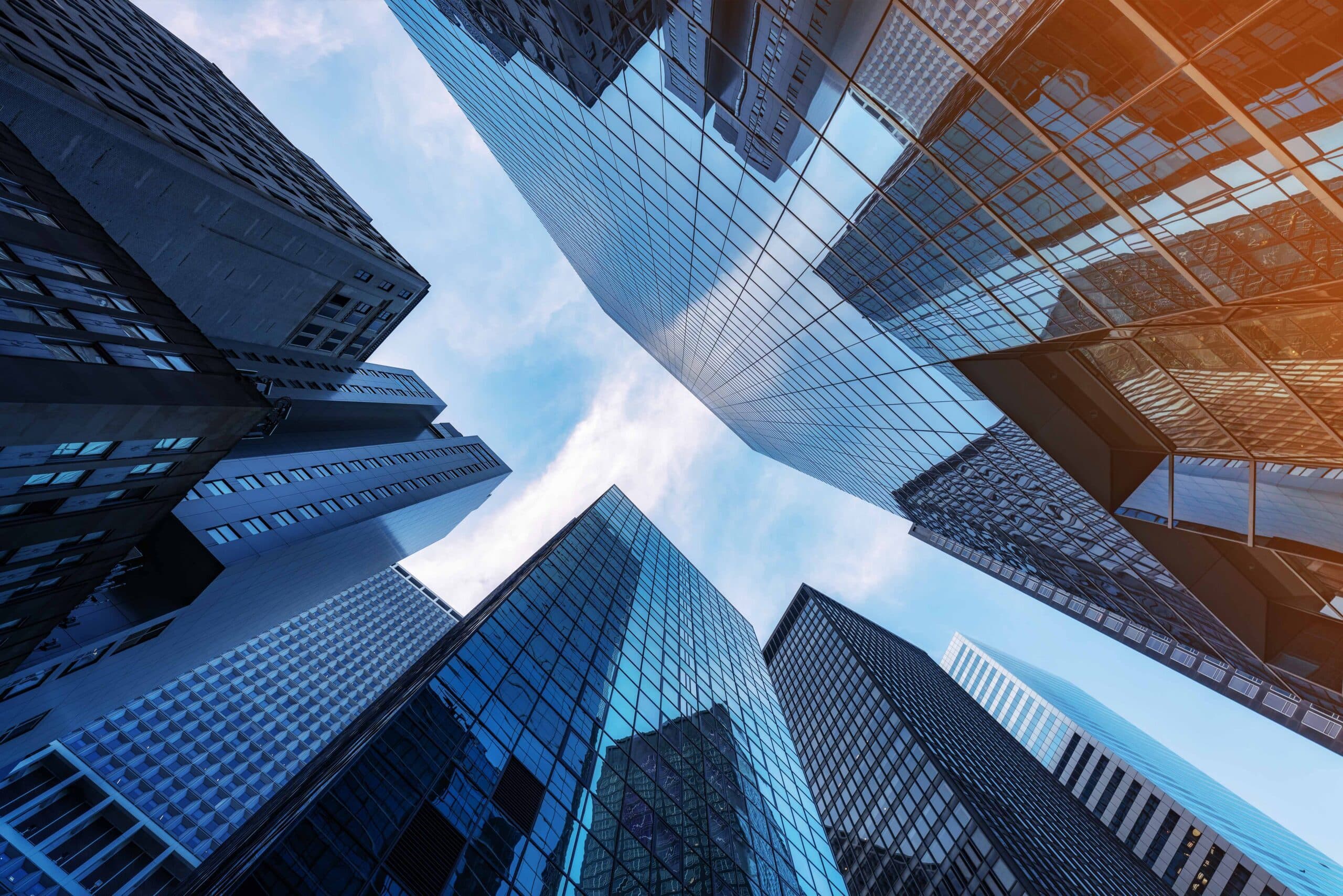 Empowering portfolio growth